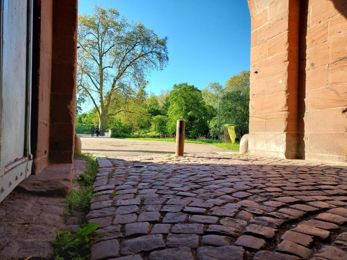 Alsacetime, Centre Parking Gratuit, Tram Wifi, Fibre Orange, Espace De Travail Strasbourg Bagian luar foto